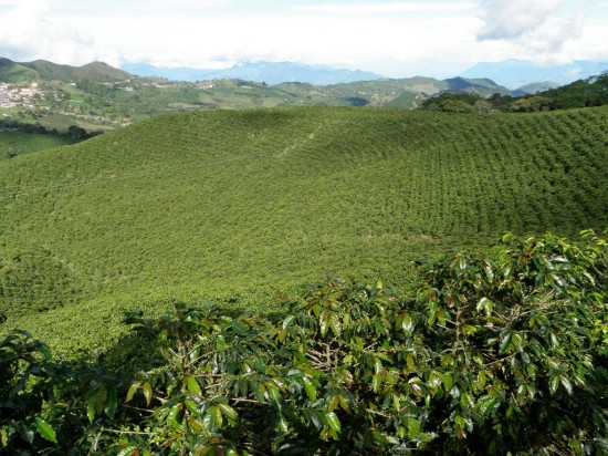 Foto tomada de www.panoramio.com