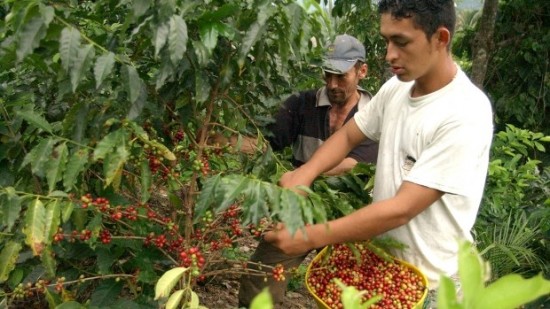Foto tomada de La Patria