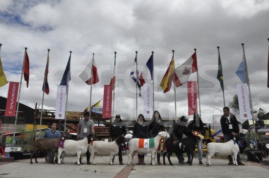 Foto: Agromundo