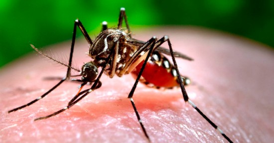 Foto: Tomada de www.cronicadelquindio.com