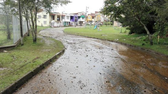 Foto: Cortesía Dapard