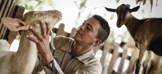 Foto: Minagricultura