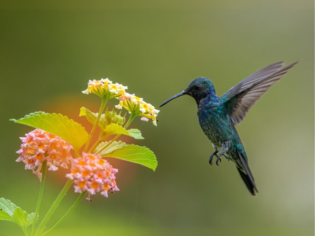 La Corporación Parque Arví y la Gobernación de Antioquia realizarán el Primer Congreso Nacional de Turismo Regenerativo.