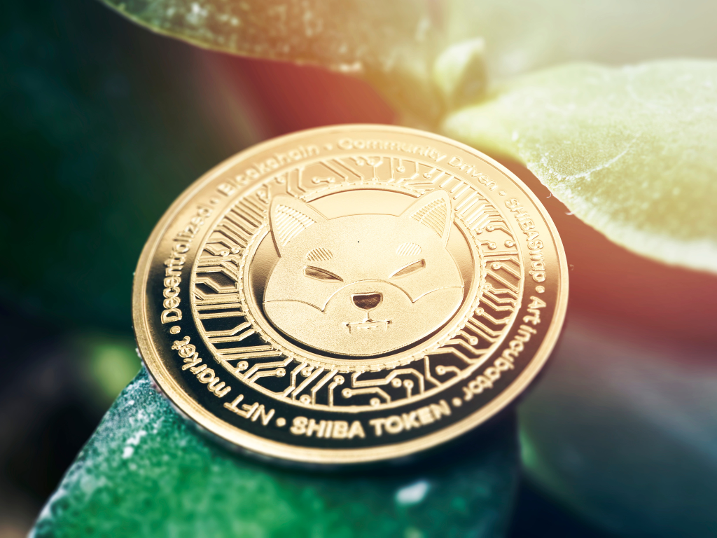 Foto: Canva. Las memecoins nacieron como una broma interna de internet: perros (Dogecoin), ranas (Pepe), caricaturas absurdas y nombres ridículos.