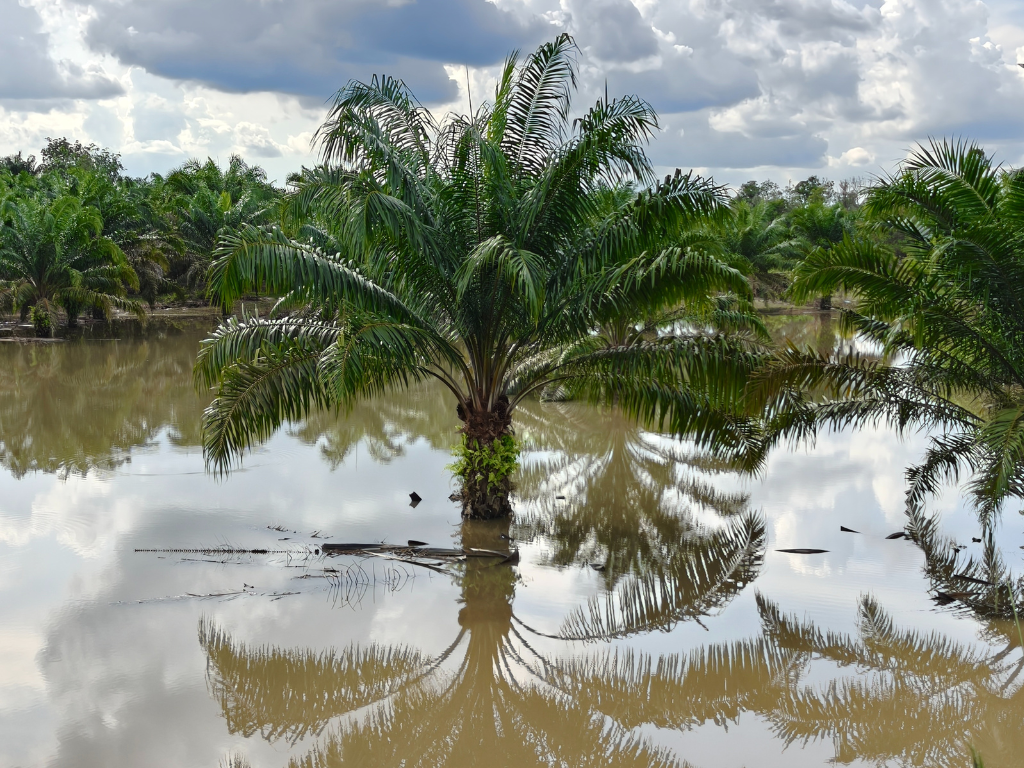 Foto: Canva. La Gobernación de Antioquia activó un plan de choque en Urabá para atender a los afectados por la ola invernal y destina $7.000 millones.