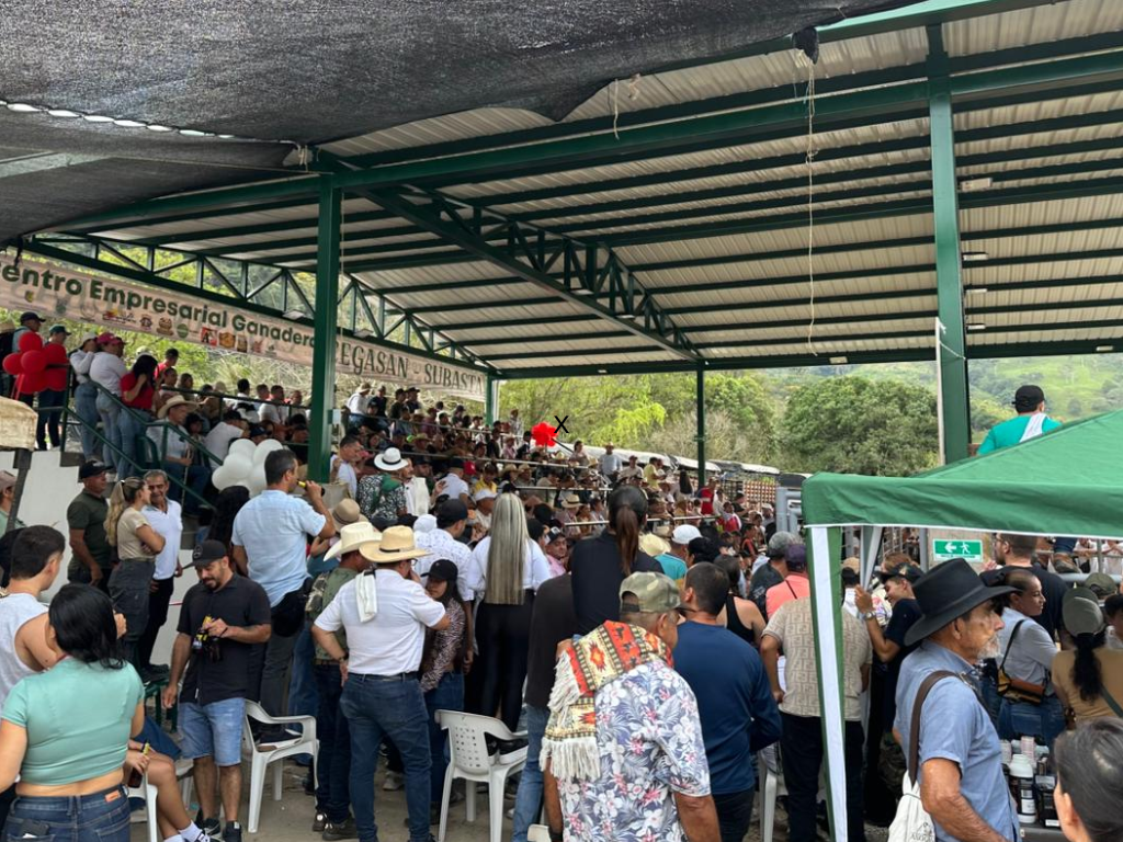 Foto: Cortesía. San Carlos estrena la subasta ganadera pública más moderna de Antioquia. Tecnología de punta para ganaderos del Oriente y Magdalena Medio.