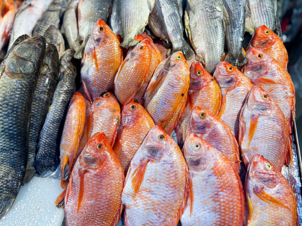 Foto: Alcaldía de Medellín. líder de Epidemiología de la Secretaría de Salud, Rita Almanza Payares