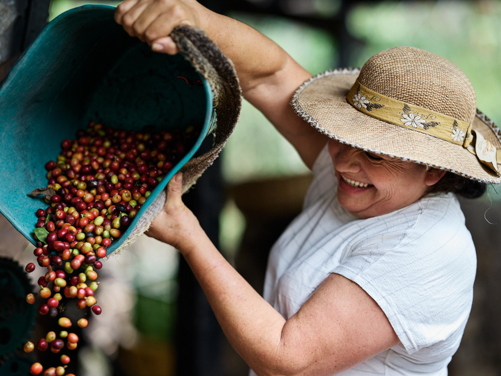 Foto: Bancolombia. Fundación Bancolombia abre convocatoria En-Campo 2026. Aceleración para 25 empresas rurales con inversión de $1.300 millones.