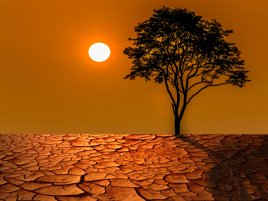 Foto: Canva. XM advirtió que el sistema eléctrico enfrentará exigencias operativas inéditas ante un posible fenómeno de El Niño 2026-2027, lo que pondría en riesgo la atención segura de la demanda por bajas reservas en embalses y combustibles. Para mitigarlo, exige gestión coordinada inmediata entre los sectores de energía y combustibles, y fija como meta que para agosto de 2026 los embalses superen el 80% de su nivel agregado. Las recomendaciones incluyen: coordinar mantenimientos, asegurar retanqueo de regasificación, acelerar nuevos proyectos, garantizar combustibles para termoeléctricas, flexibilizar embalses, promover ahorro, y transparentar disponibilidad de plantas solares. En lo regulatorio, pide adoptar el proyecto CREG 701 115 de 2026, revisar estatutos de racionamiento, permitir excedentes de autogeneración, definir reglas para intercambios internacionales y establecer criterios para baja hidrología. El país entra en vigilancia máxima desde el 13 de abril de 2026.