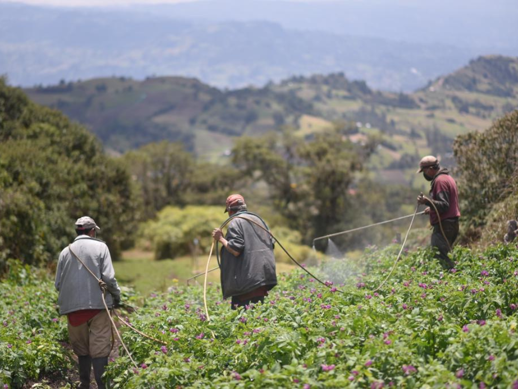 Añadir entrada < ABC Economía — WordPress