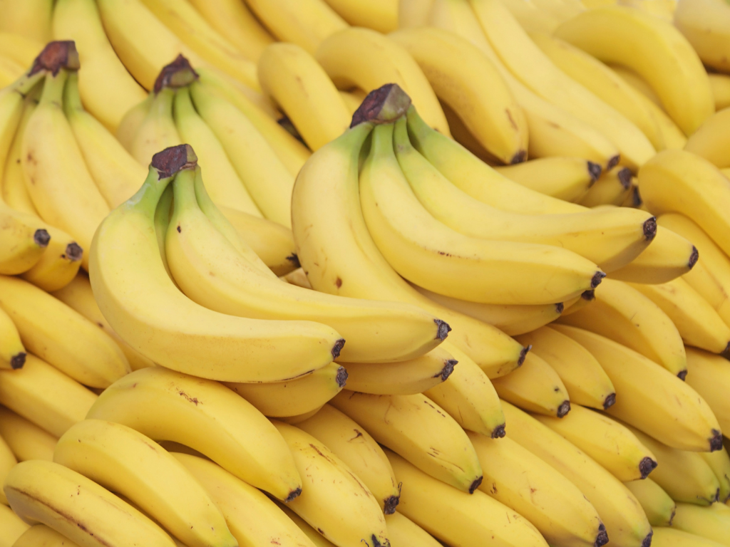 Foto: Canva. Bananeros rechazan la propuesta de reducir la producción de banano en el Caribe. Analizamos el impacto del sector bananero en Colombia.
