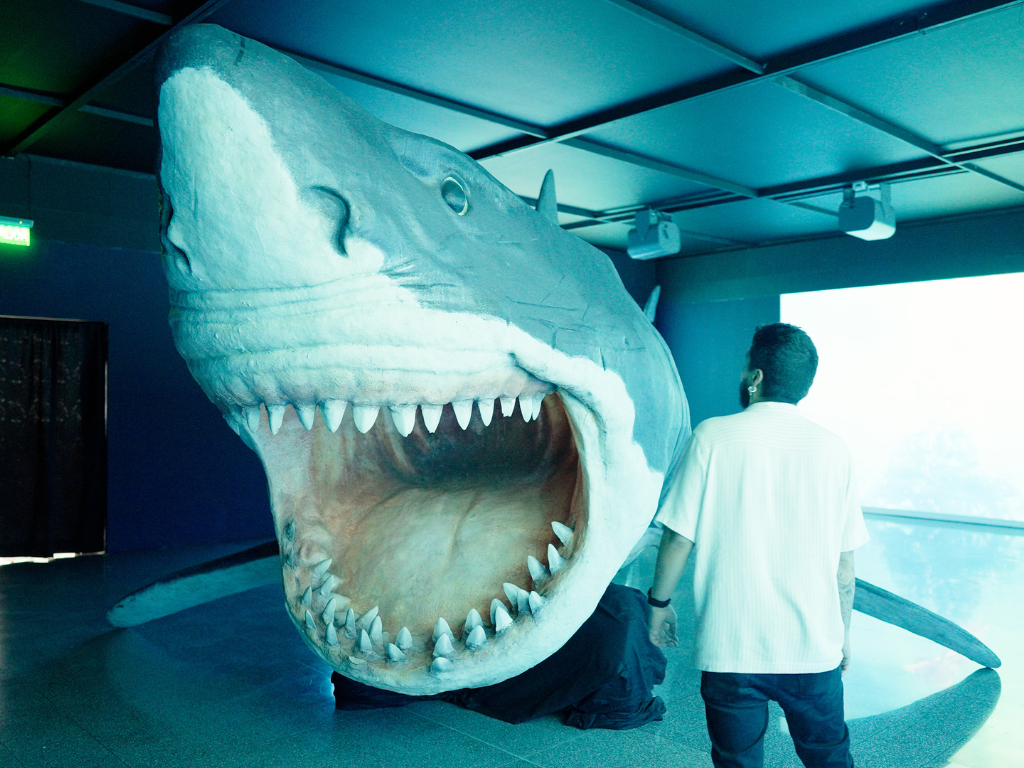 Foto: Cortesía. Medellín recibe la exposición inmersiva 'Manifiesto Megalodón' en el C.C. Los Molinos. Conozca la escultura de 10 metros.
