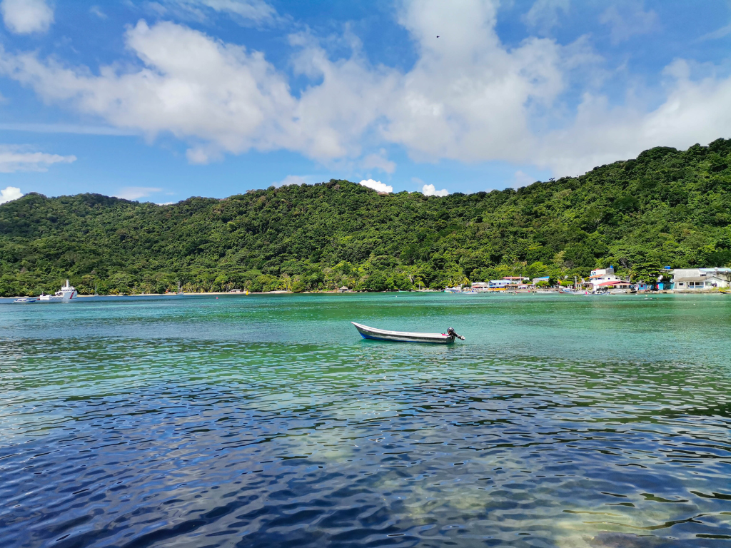 Foto: Canva. Mapfre consolida su estrategia de sostenibilidad en Colombia con proyectos en Chocó y páramos andinos, neutralizando miles de toneladas de CO₂.