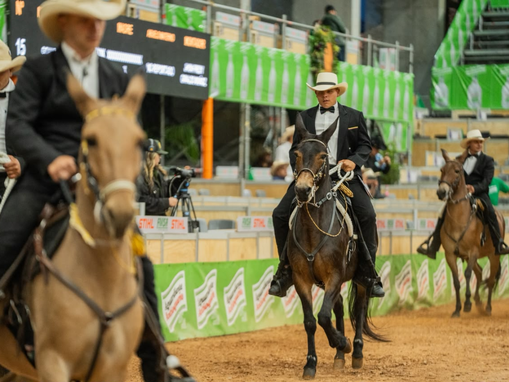 Foto: Cortesía. La industria del Caballo Criollo Colombiano mueve $6 billones y genera 480.000 empleos. Rionegro acoge la 67ª ExpoInternacional Equina en la Feria de las Flores.