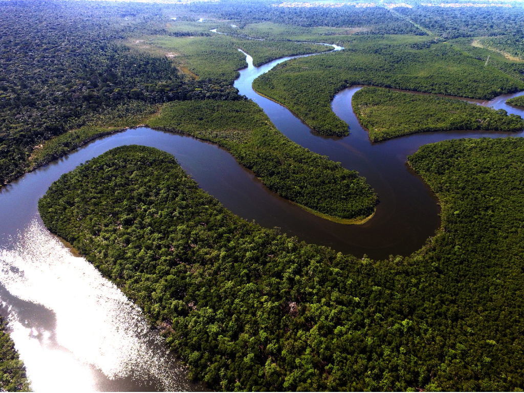 Foto: Natura. Natura consolida su liderazgo en sostenibilidad al cumplir anticipadamente sus metas ESG y fortalecer su modelo regenerativo en América Latina