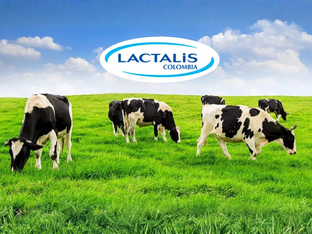 Foto: Cortesía. Lactalis Colombia donó $100 millones y 5 toneladas de leche en polvo por el terremoto. La empresa apoyará al Chocó todo el 2026.