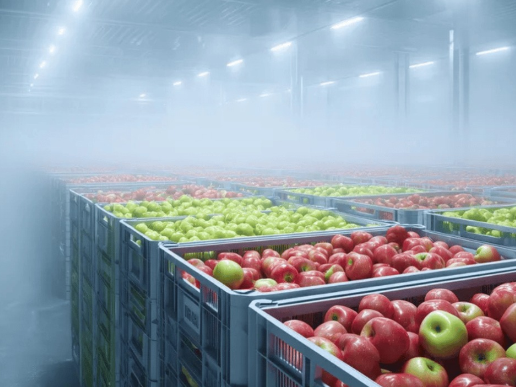 Foto: Cortesía. Las exportaciones de manzanas europeas a Colombia alcanzaron las 26.375 toneladas. Conozca cómo viajan más de 10.000 km.